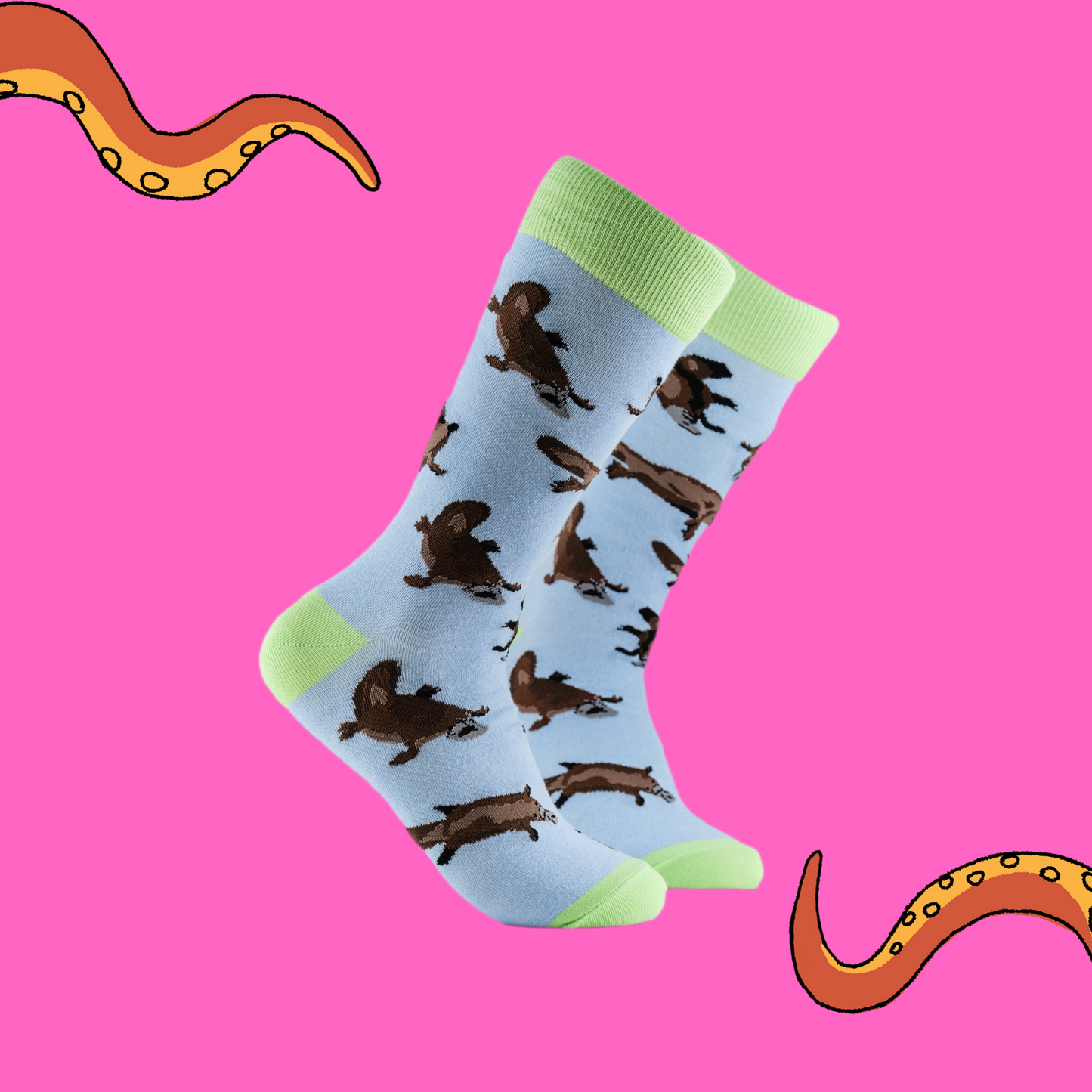 A pair of socks depicting duck billed platypus. Light blue legs, light green cuff, heel and toe.