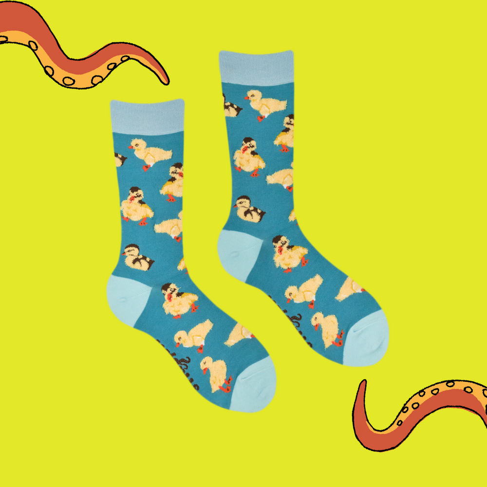 
                      
                        A pair of socks with fluffy ducklings. Teal legs, bright blue heel, toe and cuff. 
                      
                    