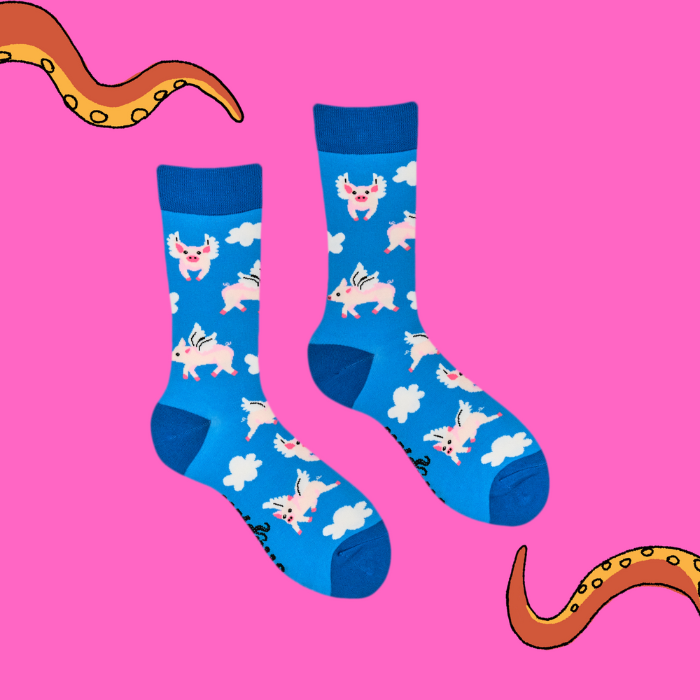 
                      
                        A pair of socks with a flying pig motif. Light blue legs, dark blue heel, toe and cuff. 
                      
                    