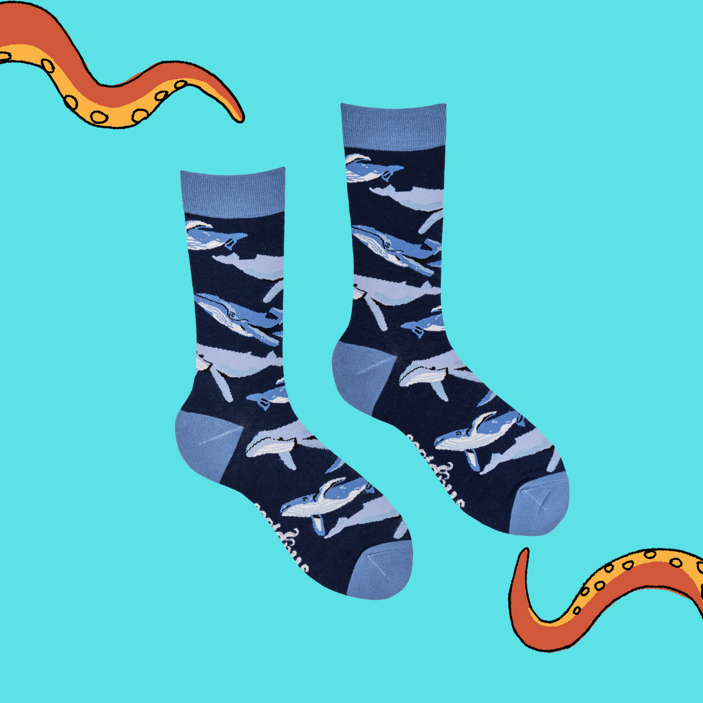 
                  
                    A pair of socks depicting different species of Whale. Dark blue legs, bright blue cuff, heel and toe.
                  
                