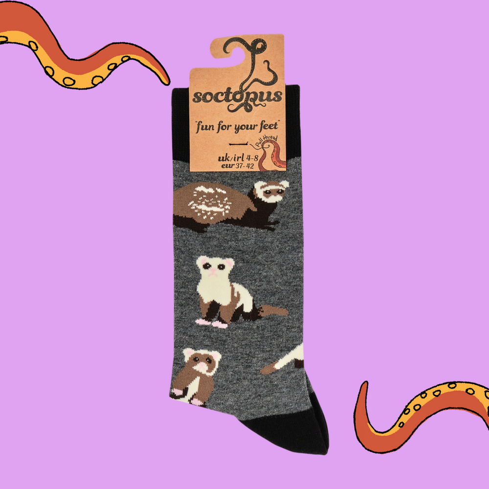 
                      
                        A pair of socks featuring ferrets. Grey legs, black heel, toe and cuff. 
                      
                    