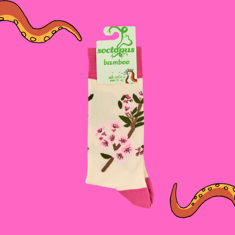 
                      
                        A pair of socks featuring cherry blossom. Beige legs, bright pink heel, toe and cuff.
                      
                    