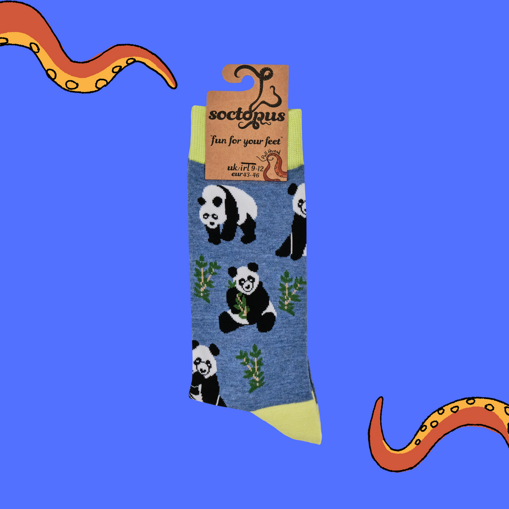 
                      
                        Panda Socks - Stu-Pandous
                      
                    
