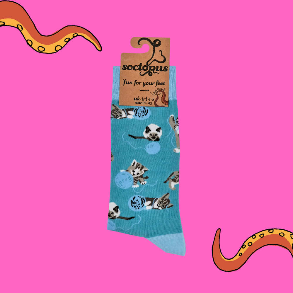 
                      
                        Cats and Wool Socks
                      
                    