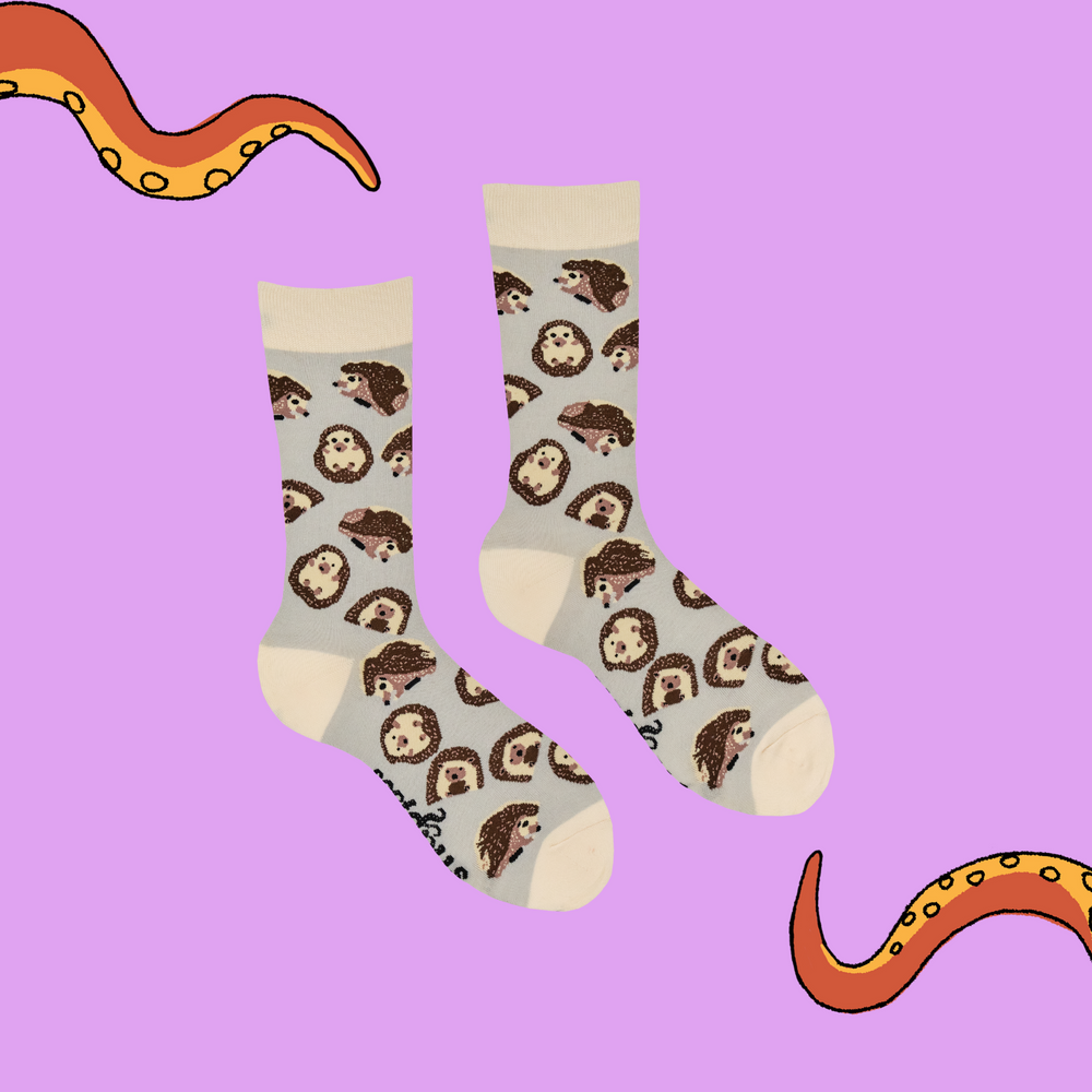 
                      
                        Hedgehog Socks - Prickly - XS
                      
                    