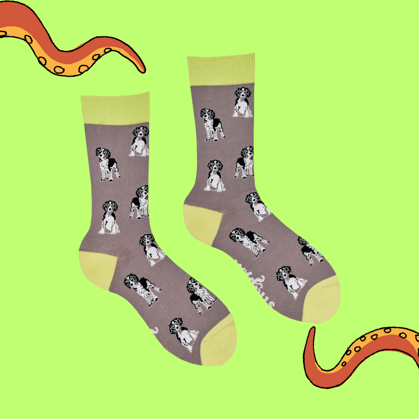 
                  
                    Spaniel Socks
                  
                