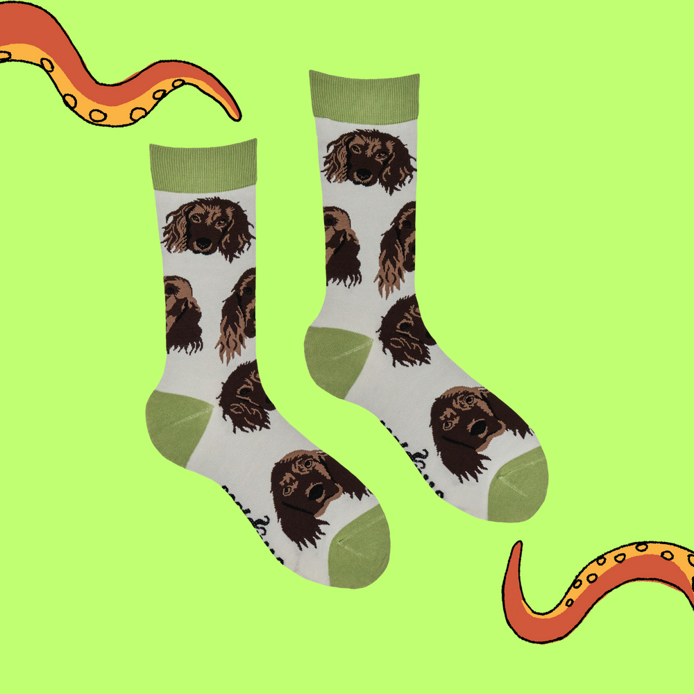 
                      
                        Cocker Spaniel Socks
                      
                    