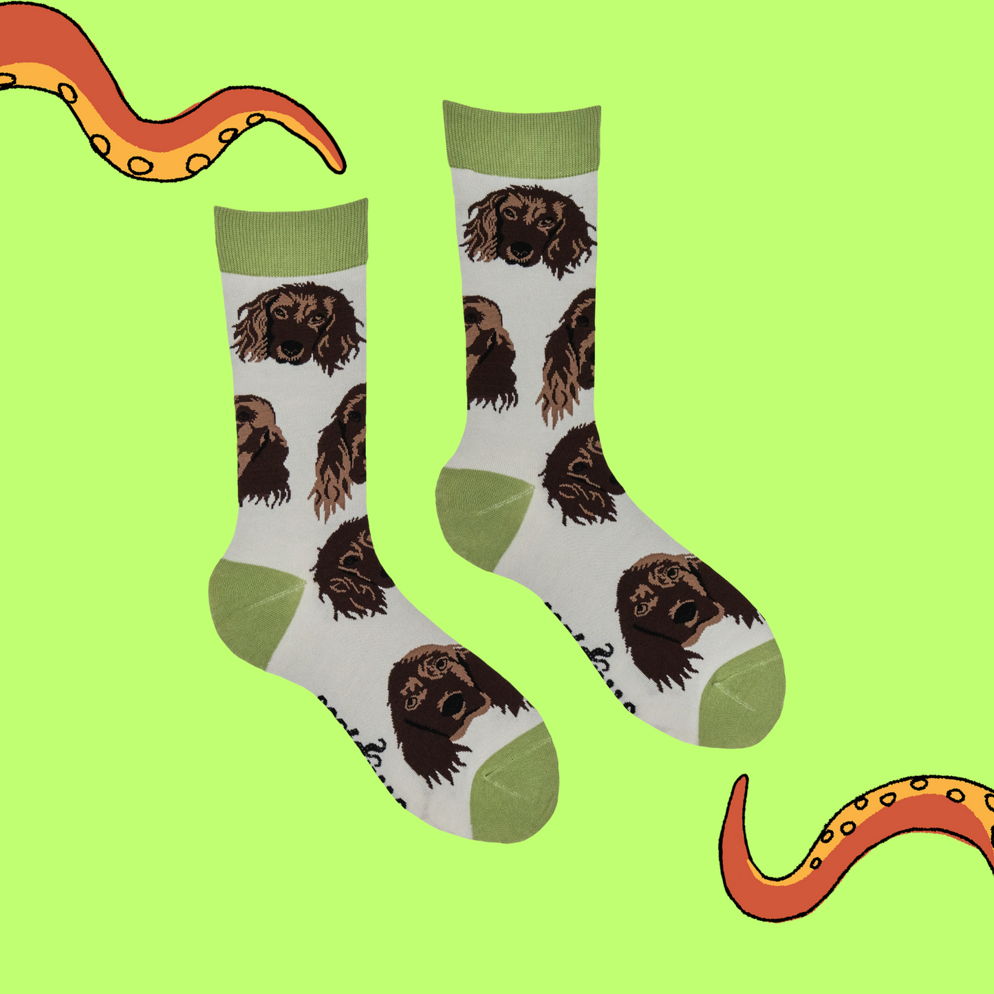 
                  
                    Cocker Spaniel Socks
                  
                