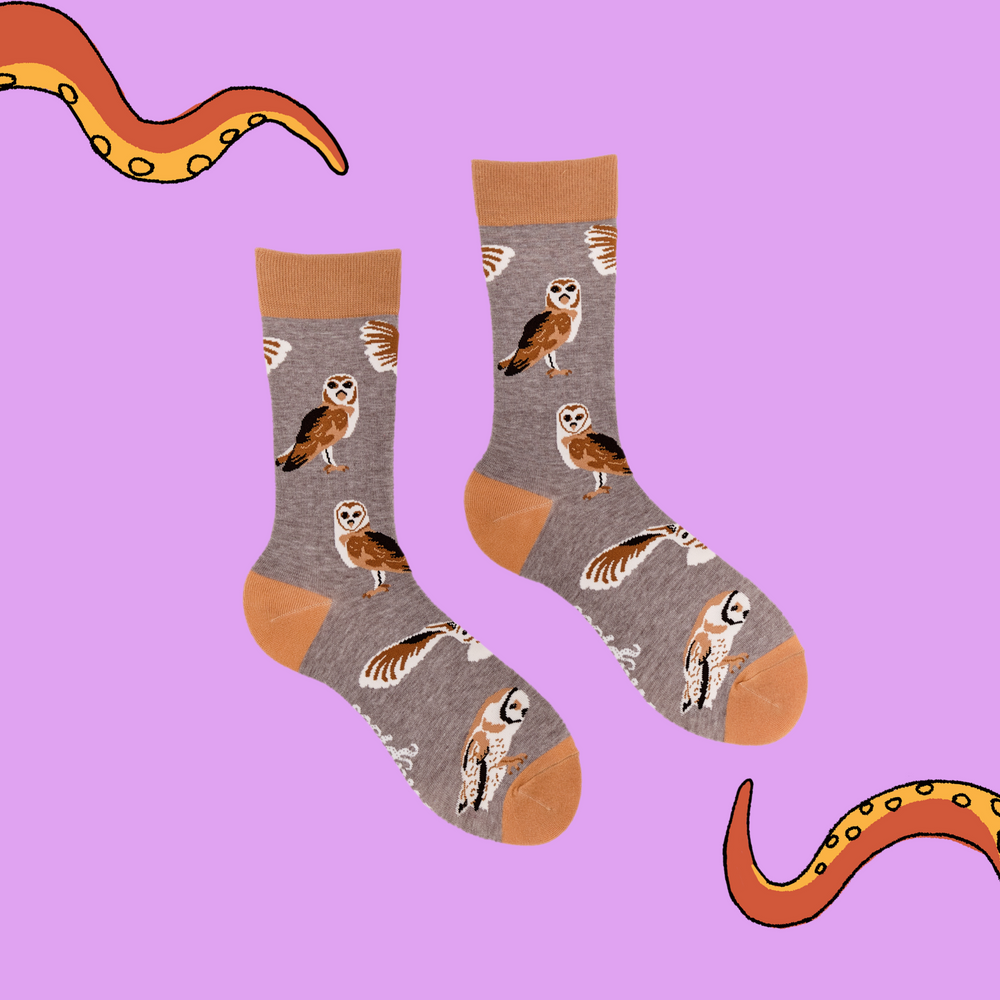 
                  
                    A pair of socks depicting brown owls. Grey legs, brown cuff, heel and toe.
                  
                