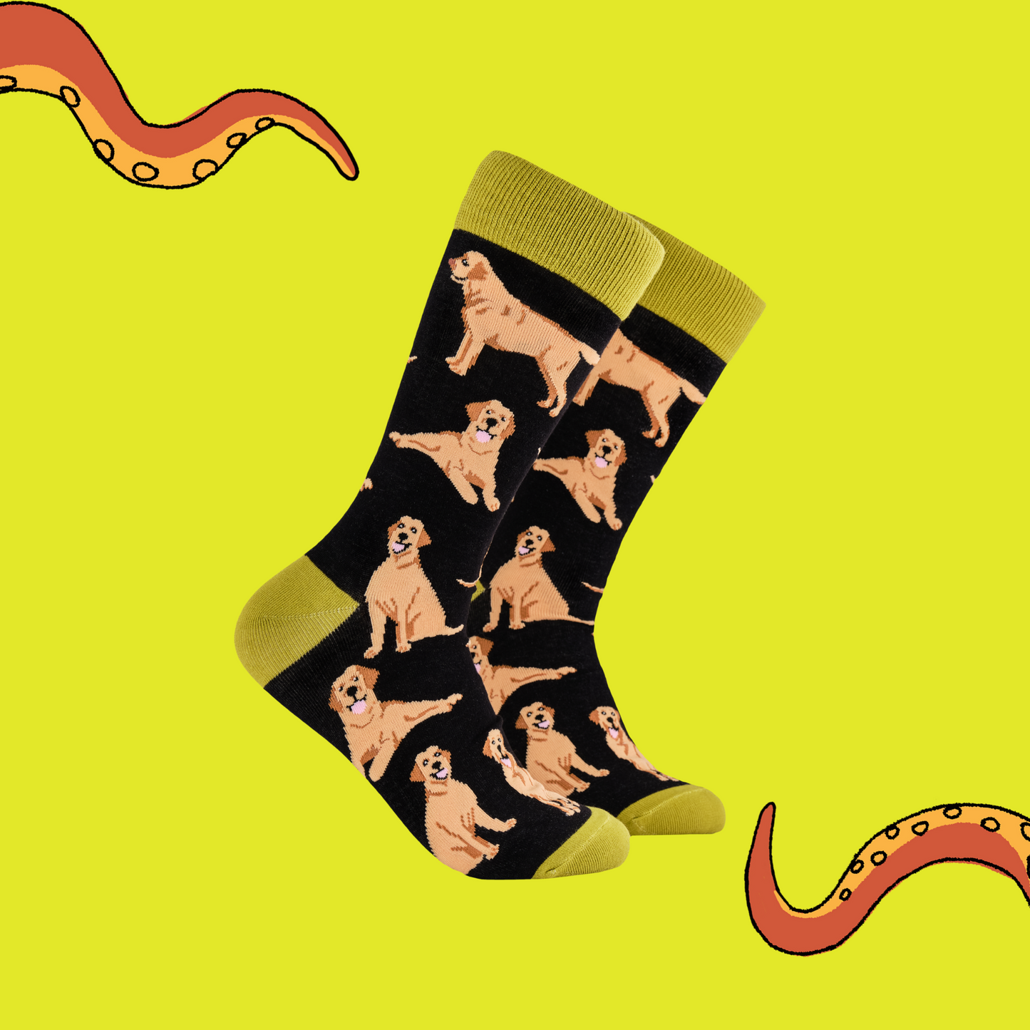 A pair of socks depicting Labrador dogs. Black legs, mustard cuff, heel and toe.