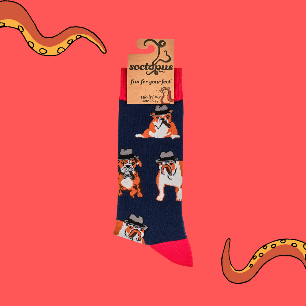 
                      
                        A pair of socks with a bulldog and winston churchill motif. Dark blue legs, red heel, toe and cuff. 
                      
                    