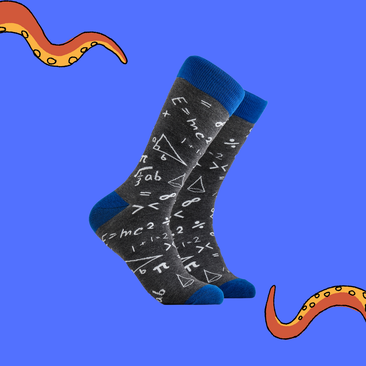 A pair of socks depicting mathematical equations. Grey legs, blue cuff, heel and toe.