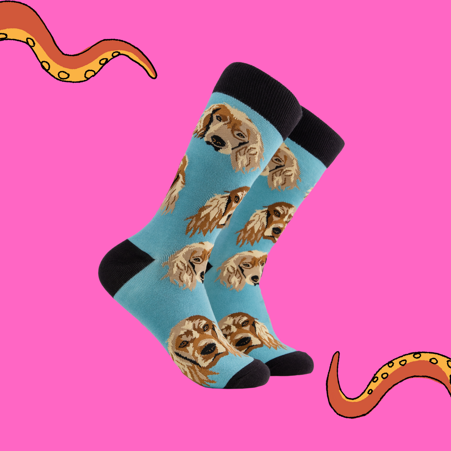 A pair of socks depicting cocker spaniels. Blue legs, black cuff, heel and toe. 