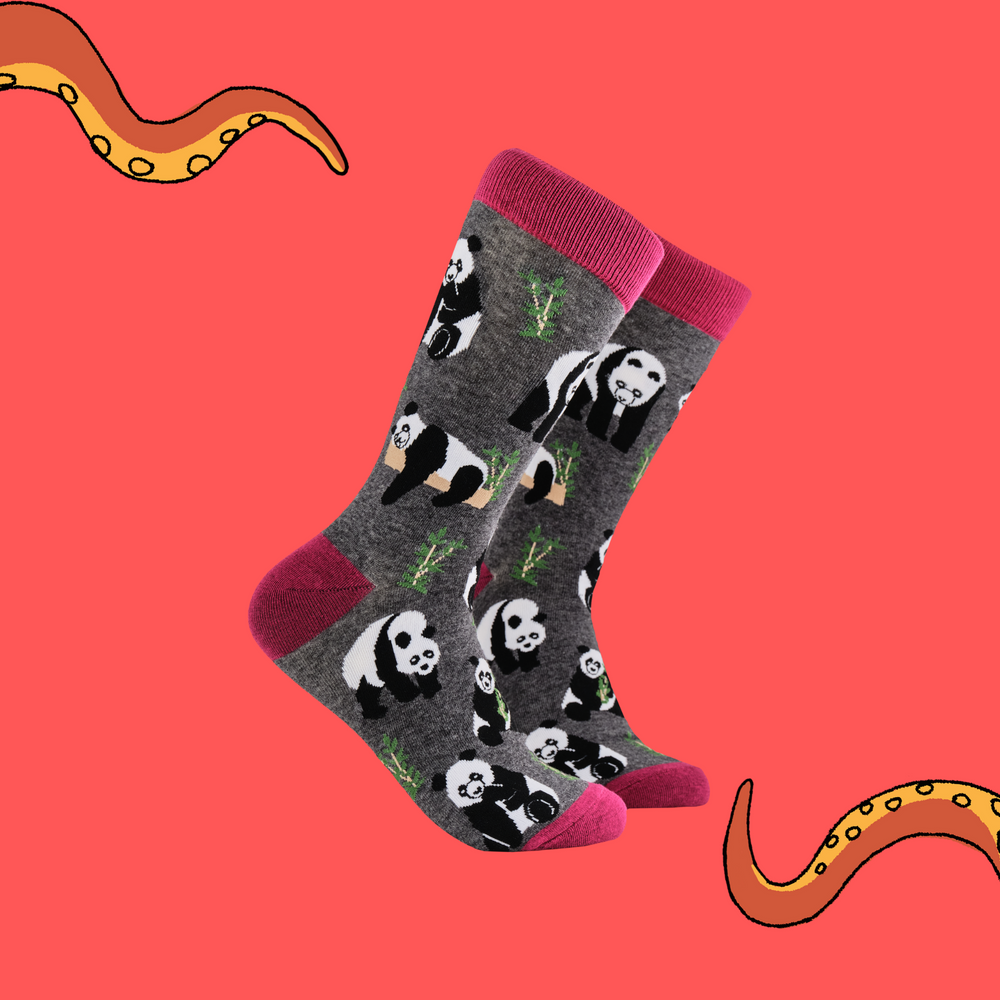 A pair of socks depicting pandas playing in the forest. Grey legs, red cuff, heel and toe.