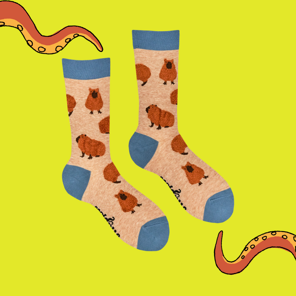 
                      
                        A pair of socks featuring fluffy Capybaras. Brown legs, blue heel, toe and cuff. 
                      
                    