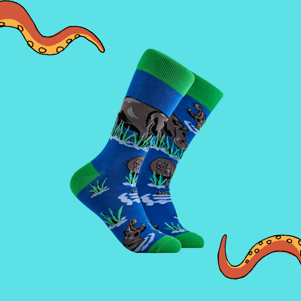 A pair of socks depicting hippos in water. Blue legs, green cuff, heel and toe.