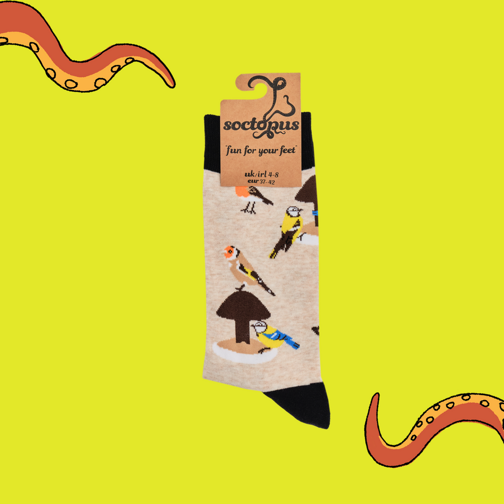 
                  
                    A pair of socks depicting british birds. Oatmeal legs, black cuff, heel and toe. In Soctopus Packaging.
                  
                