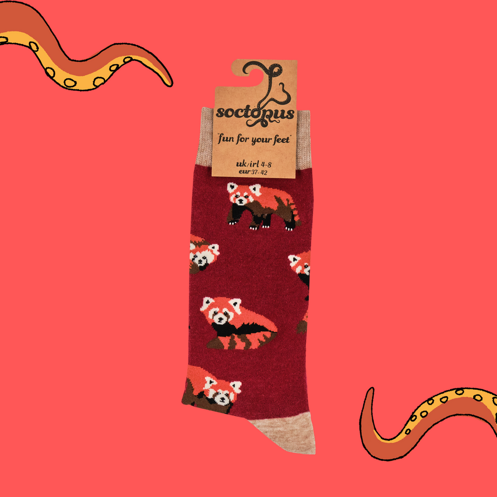 
                      
                        A pair of socks depicting cute little red pandas. Red legs, brown heel, toe and cuff. 
                      
                    