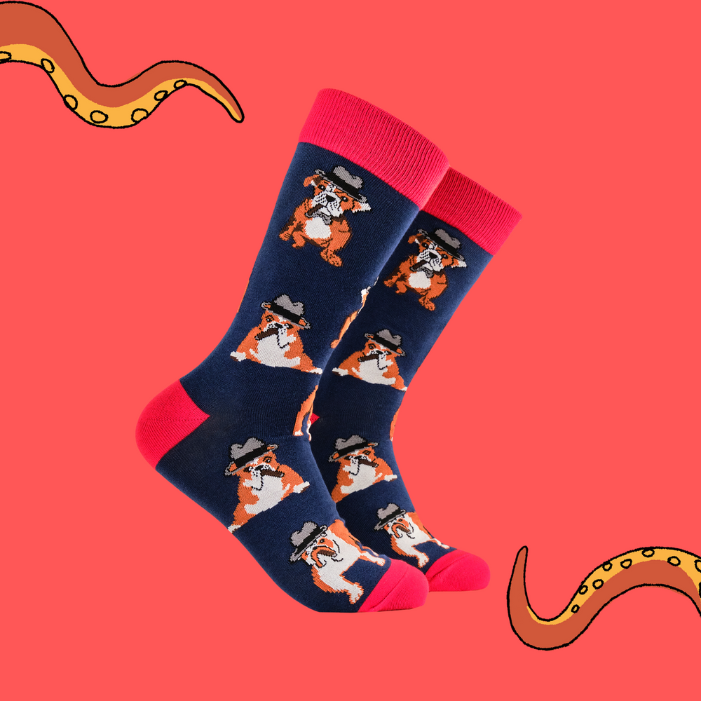 A pair of socks with a bulldog and winston churchill motif. Dark blue legs, red heel, toe and cuff. 