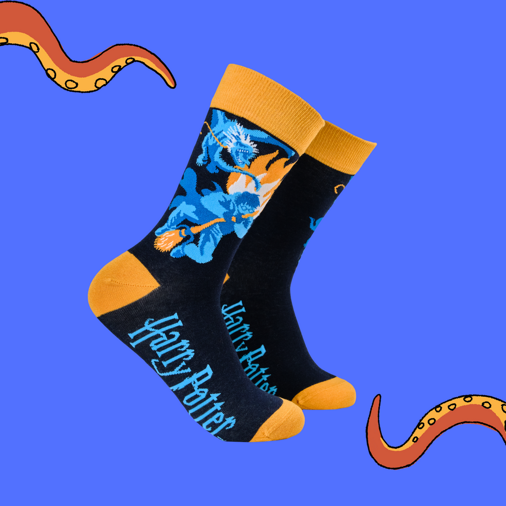 
                      
                        A pair of socks depicting harry Potter being chased by a dragon. Dark blue legs, yellow heel toe and cuff. 
                      
                    