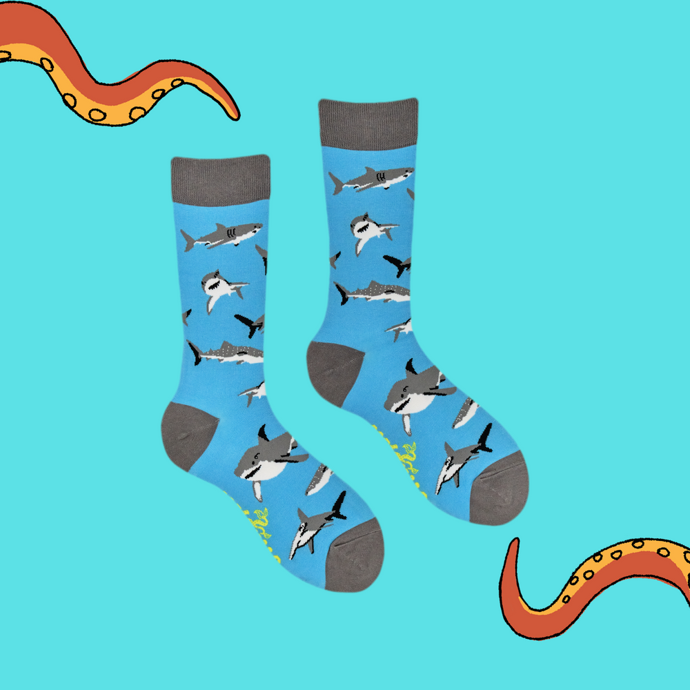 
                      
                        Shark Lover Bamboo Socks
                      
                    