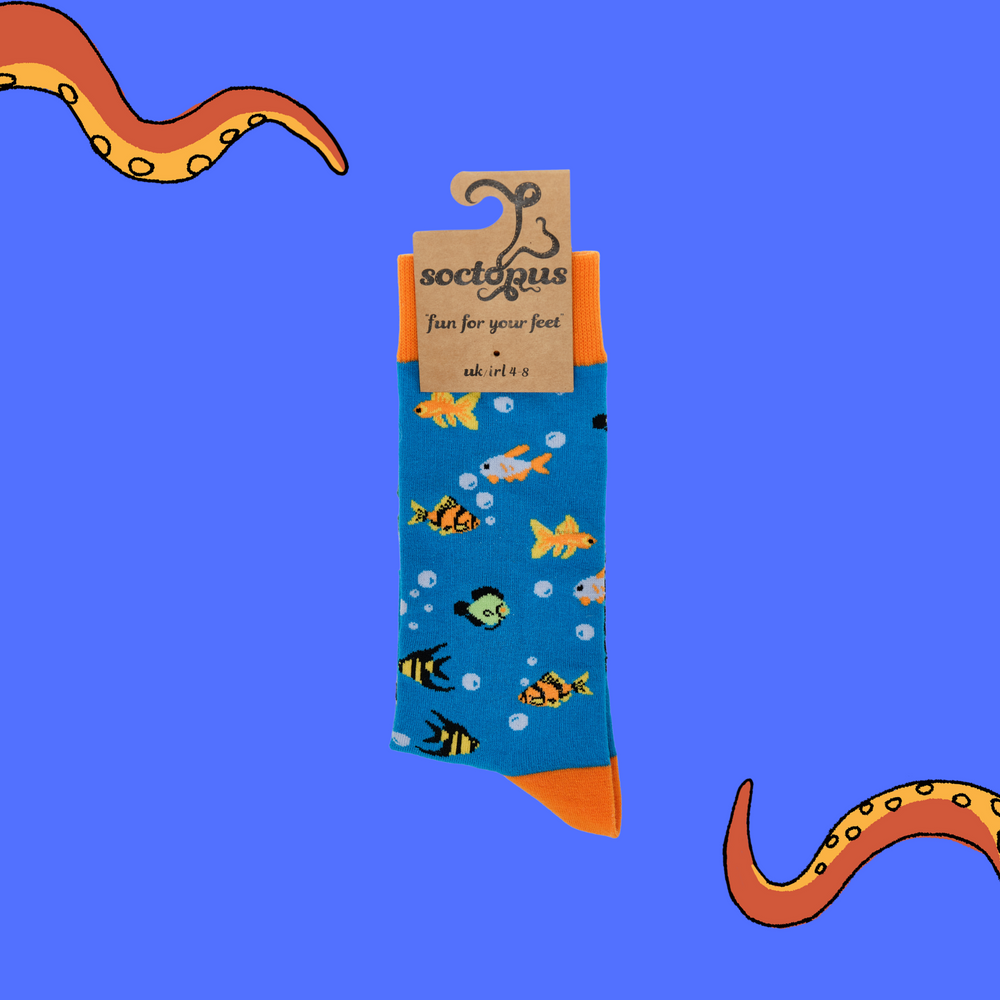 
                      
                        A pair of socks depicting fish under the sea and some long lost treasure. Blue legs, orange cuff, heel and toe. In Soctopus Packaging.
                      
                    