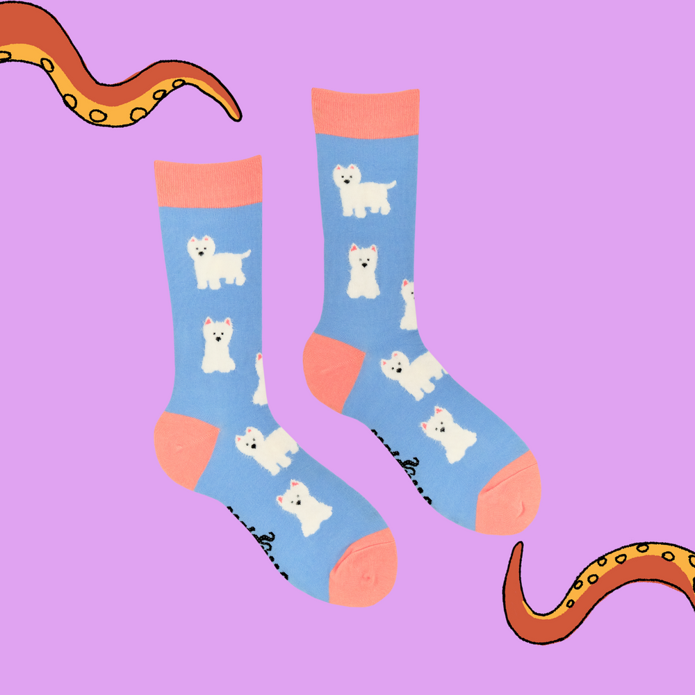 
                      
                        A pair of socks featuring fluffy westie dogs. Light blue legs, peach heel toe and cuff. 
                      
                    