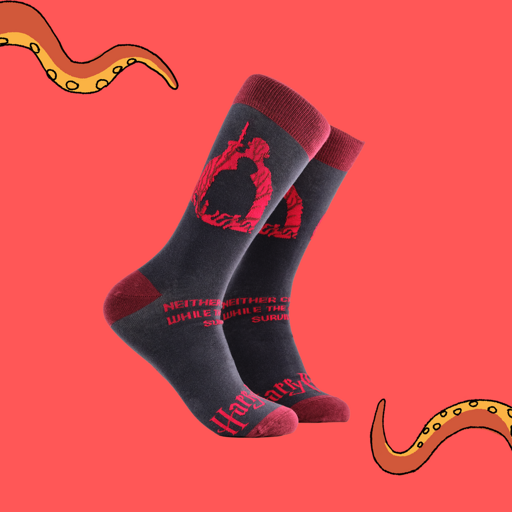 A pair of socks depicting scenes from Harry Potter. Grey legs, red cuff, heel and toe.