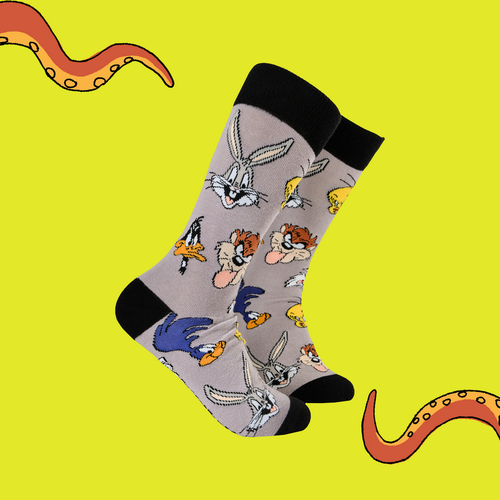 
                      
                        A pair of socks featuring the famous looney tunes gang. Grey legs, black toe, heel and cuff. 
                      
                    