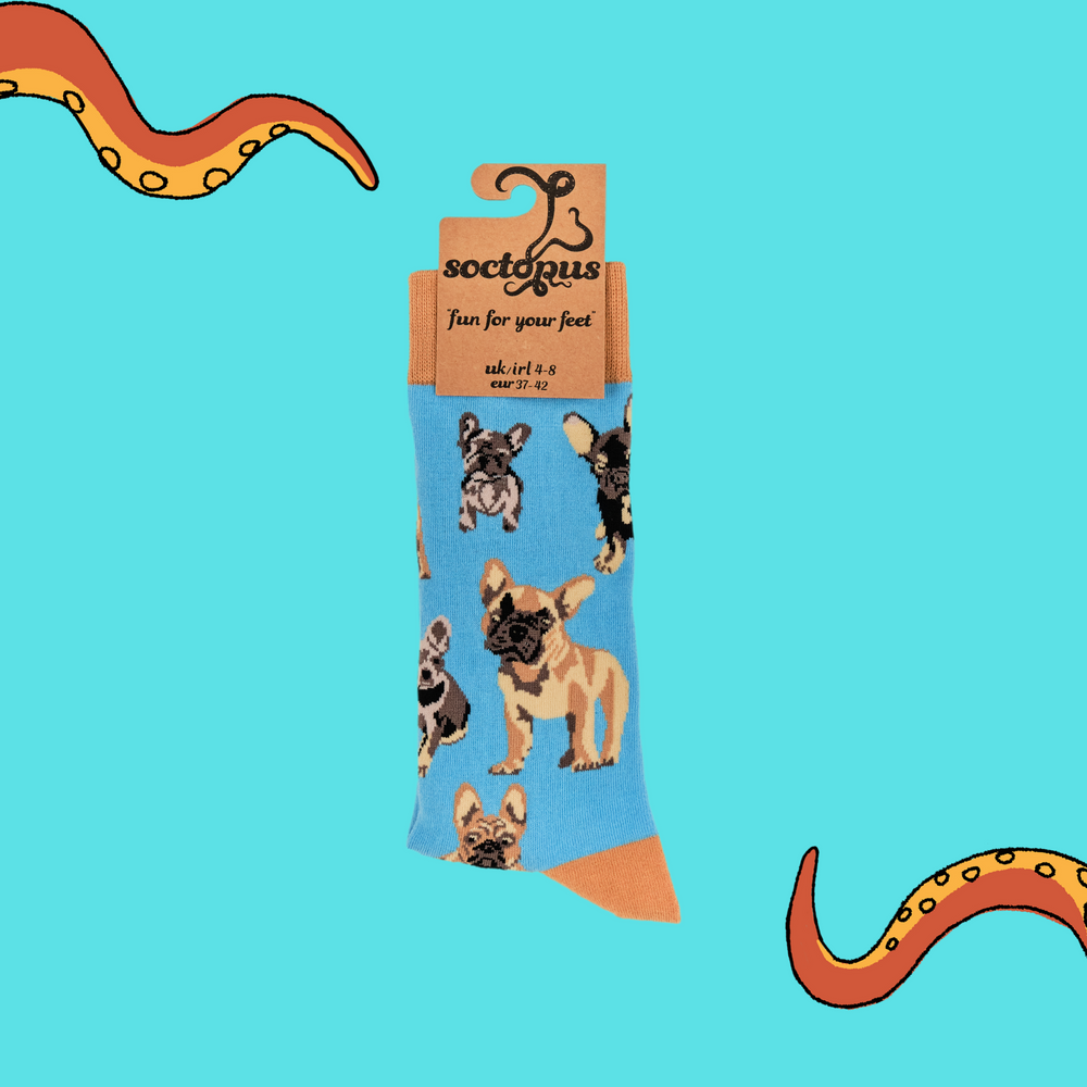 
                      
                        A pair of socks depicting french bulldogs. Blue legs, brown cuff, heel and toe. In Soctopus Packaging.
                      
                    