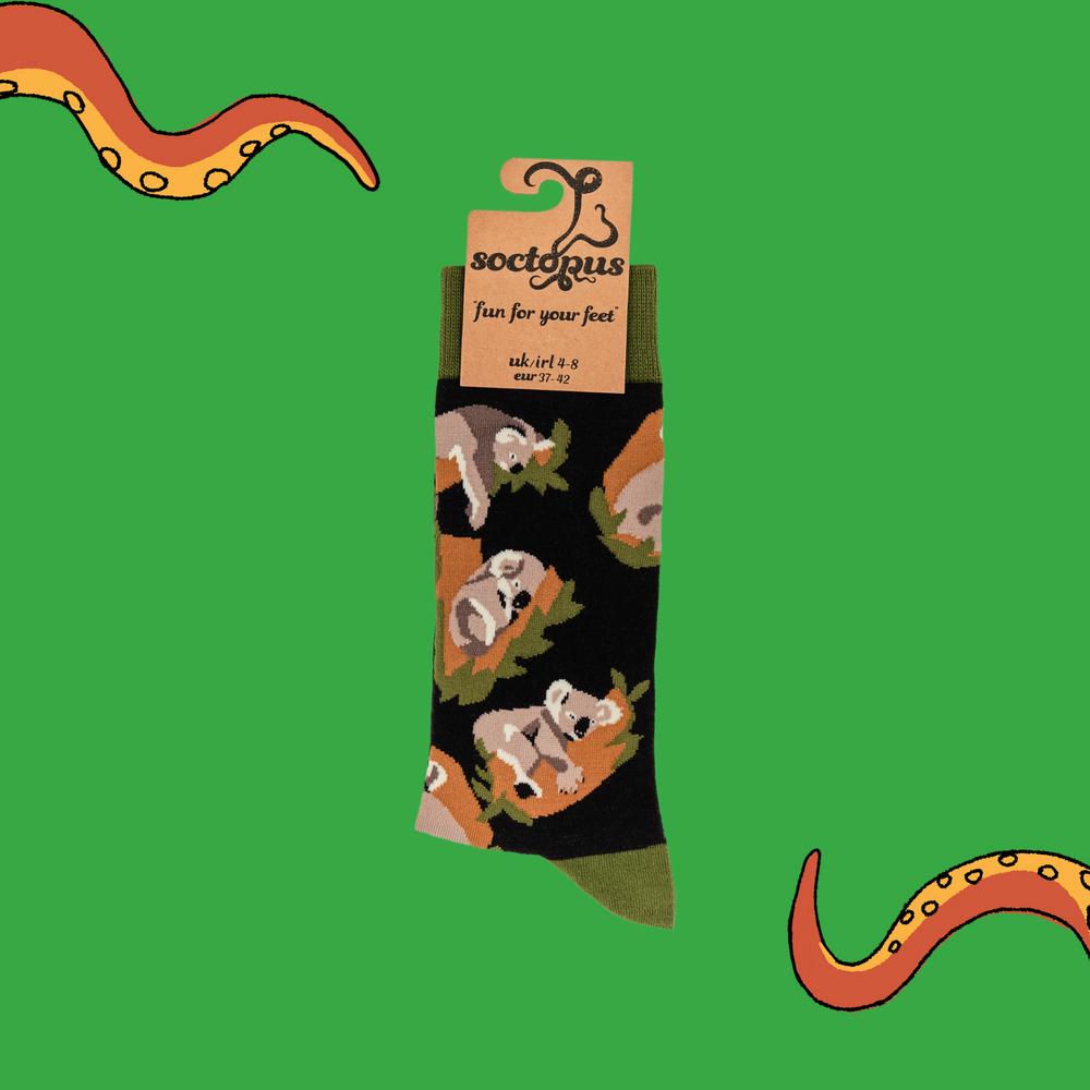 
                      
                        A pair of socks depicting koala bears. Black legs, green cuff, heel and toe. In Soctopus Packaging.
                      
                    