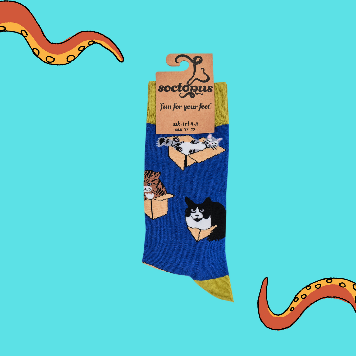 
                  
                    A pair of socks depicting cats in boxes. Blue legs, yellow cuff, heel and toe. In Soctopus Packaging.
                  
                