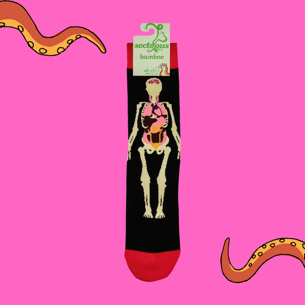 
                      
                        Anatomy Bamboo Socks
                      
                    