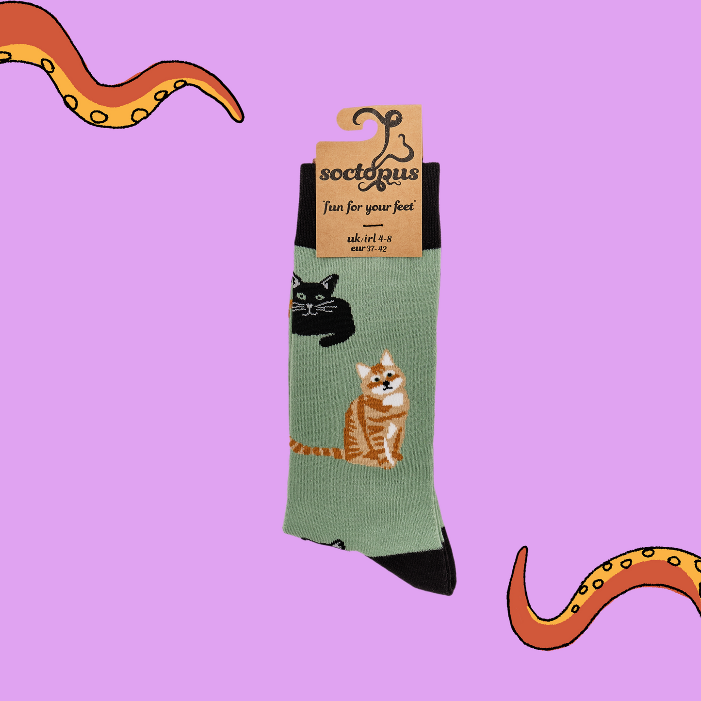 
                  
                    A pair of socks depicting cats. Green legs, black cuff, heel and toe. In Soctopus Packaging.
                  
                