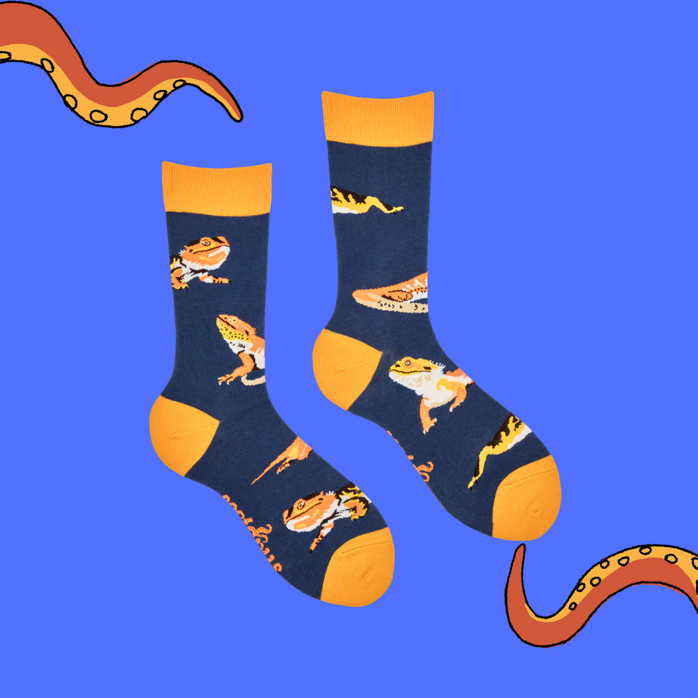 
                      
                        Bearded Dragon Socks
                      
                    