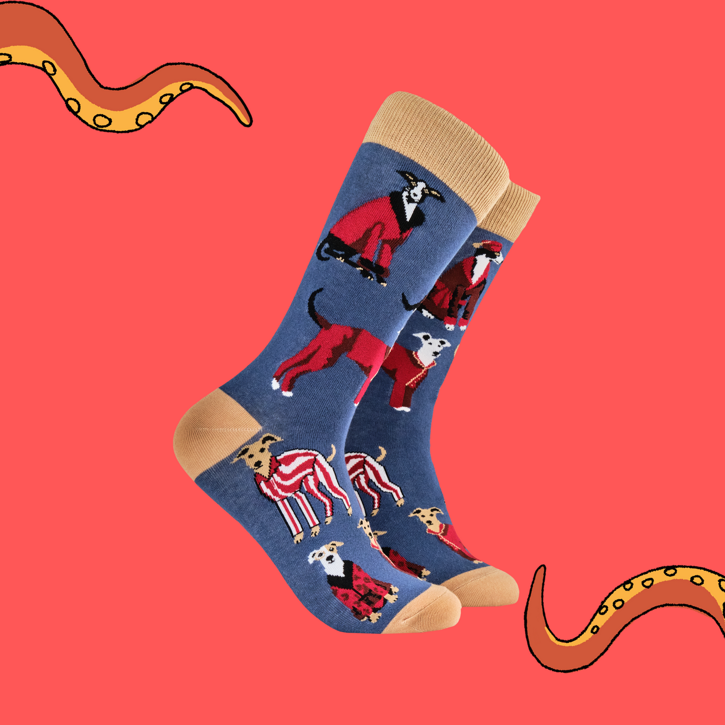 
                  
                    Socks depicting Italian Greyhound and Whippets wearing red patterned suits and formal gentlemen's attire. Blue legs and cream cuff, heel and toes.

                  
                