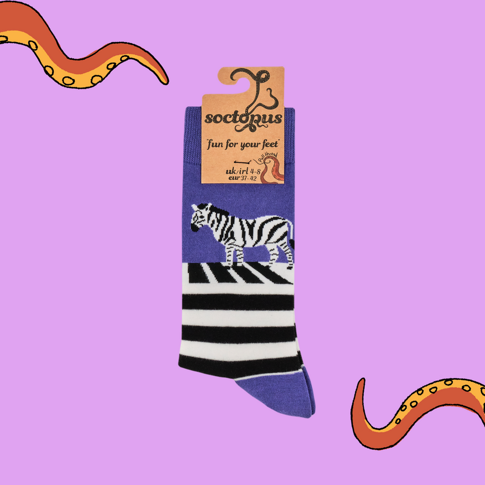 
                      
                        A pair of socks featuring a zebra on a zebra crossing. Striped legs, purple heel, toe and cuff. 
                      
                    