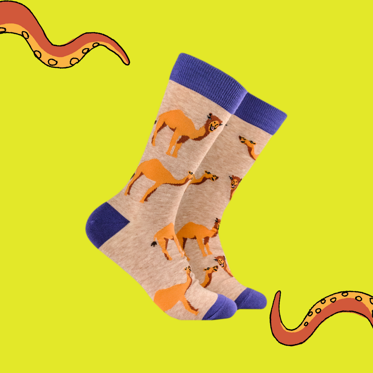 A pair of socks depicting camels, beige legs, blue heel, toe and cuff. 