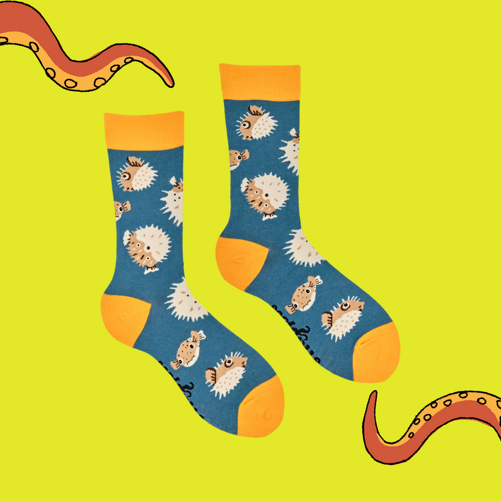 
                      
                        A pair of socks featuring a puffer fish motif. Teal legs, yellow heel, toe and cuff. 
                      
                    