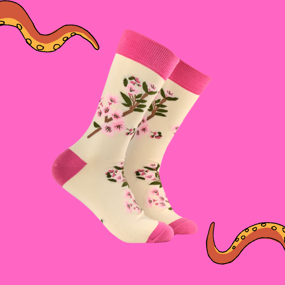 
                      
                        A pair of socks featuring cherry blossom. Beige legs, bright pink heel, toe and cuff.
                      
                    