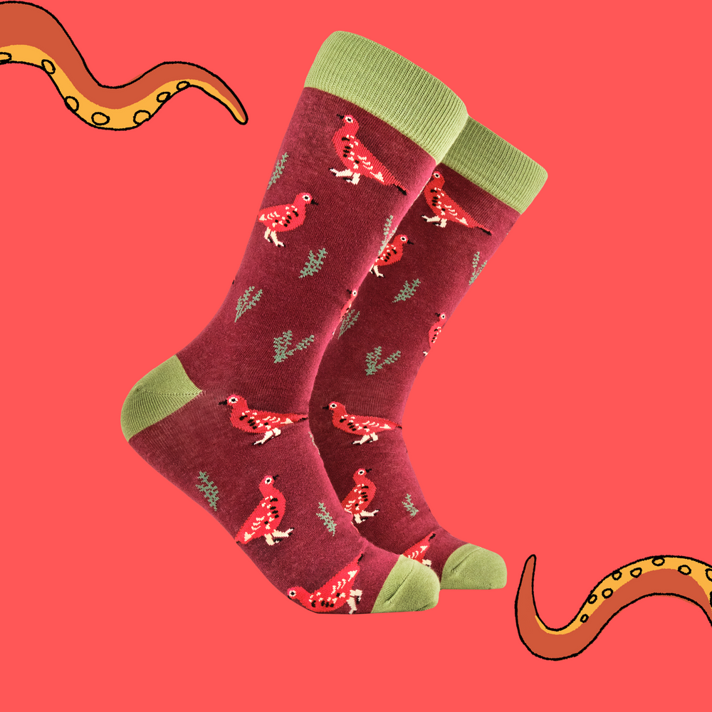 
                      
                        A pair of socks featuring a grouse motif. Red legs, green heel, toe and cuff. 
                      
                    