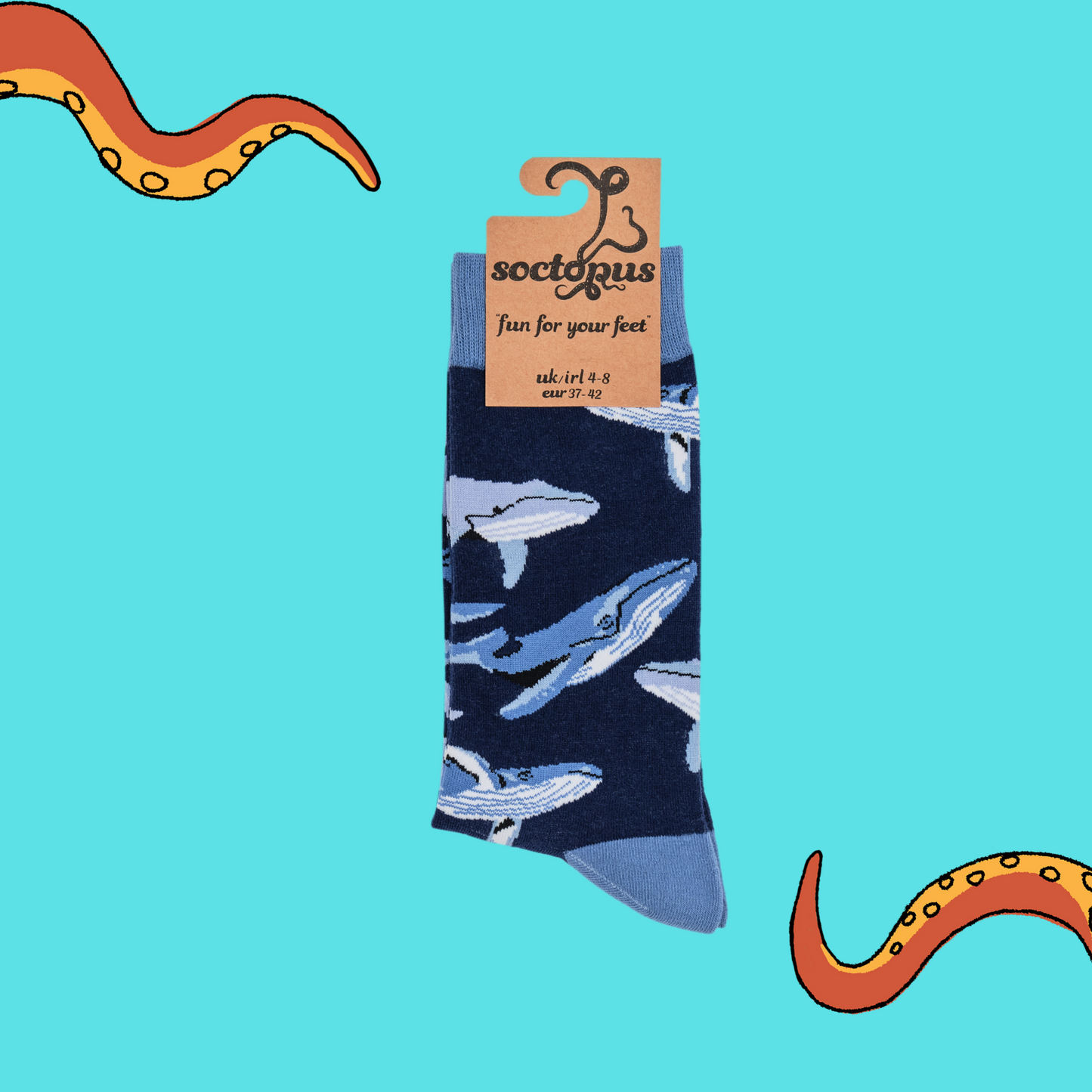 
                  
                    A pair of socks depicting different species of Whale. Dark blue legs, bright blue cuff, heel and toe. In Soctopus Packaging.
                  
                