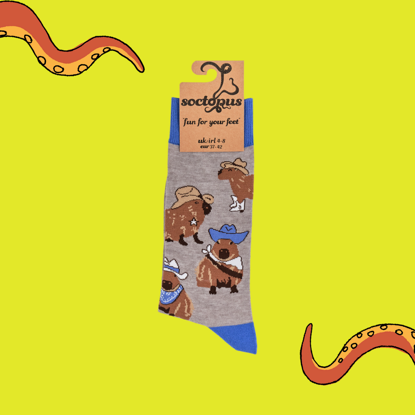 
                  
                    A pair of socks depicting Capybaras wearing cowboy hats. Grey legs, blue cuff, heel and toe. In Soctopus Packaging.
                  
                