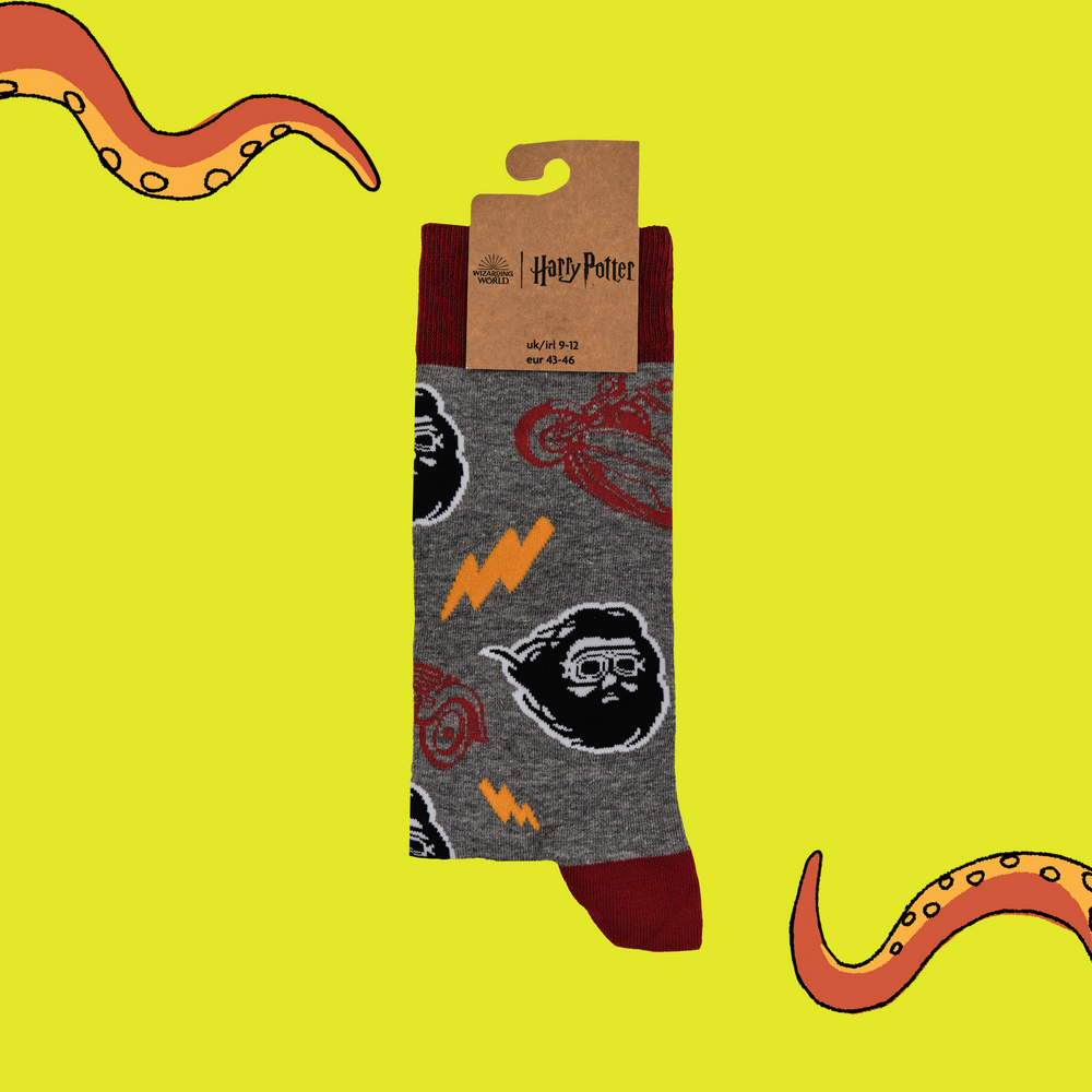 
                      
                        A pair of socks depicting Hagrid wearing his flying goggles. Grey legs, red toe, heel and cuff.
                      
                    