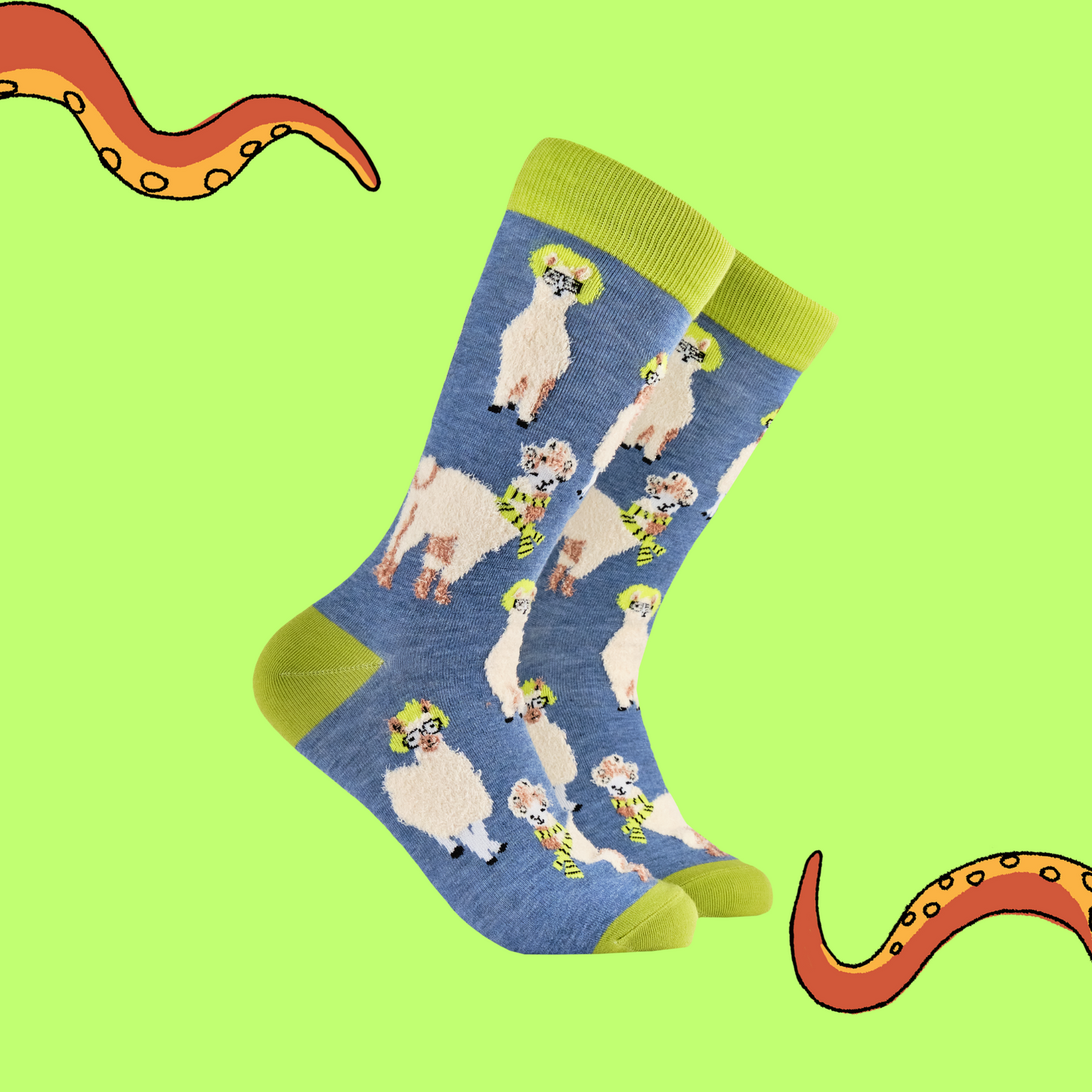 A pair of socks depicting Llamas causing drama. Blue legs, yellow heel, cuff and toe. 