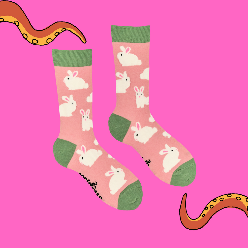 
                      
                        Fluffy Bunnies Socks
                      
                    