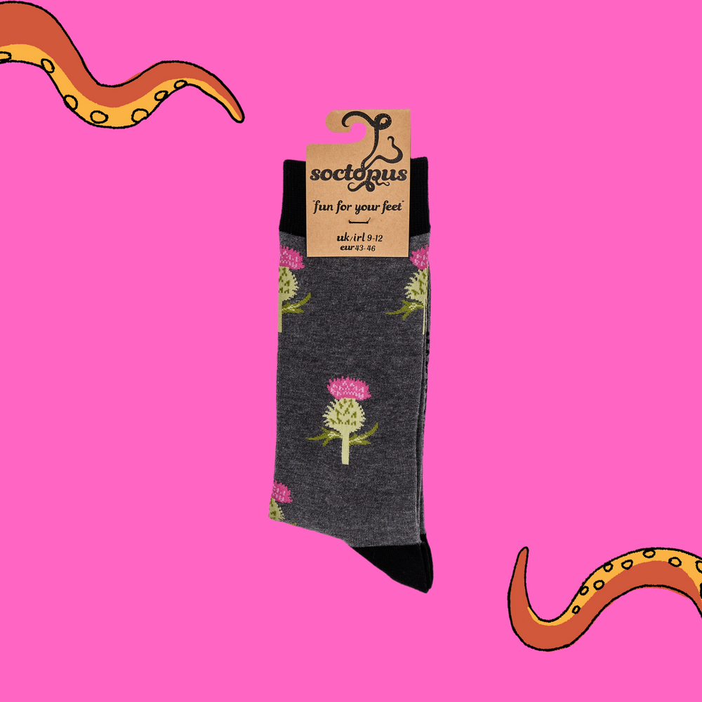 
                  
                    A pair of socks depicting thistles. Grey legs, black cuff, heel and toe. In Soctopus Packaging.
                  
                