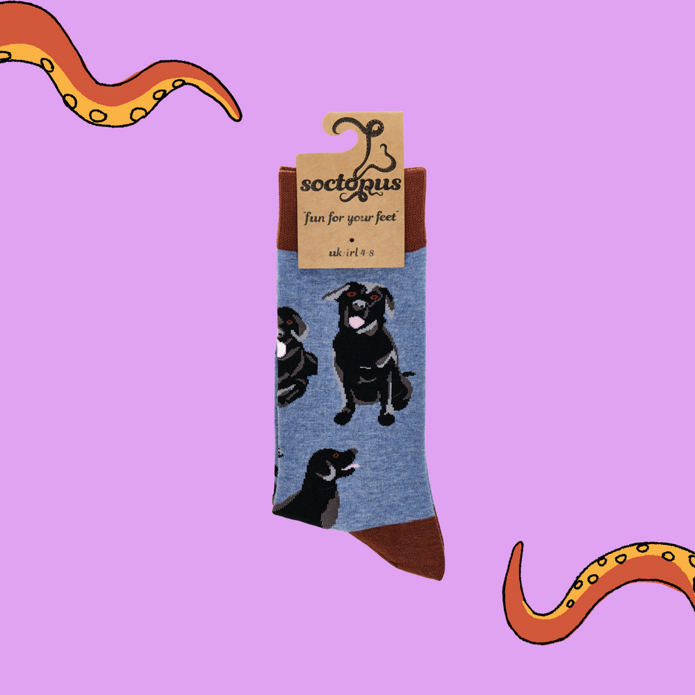 
                      
                        A pair of socks depicting black labradors. Blue legs, brown cuff, heel and toe. In Soctopus Packaging.
                      
                    