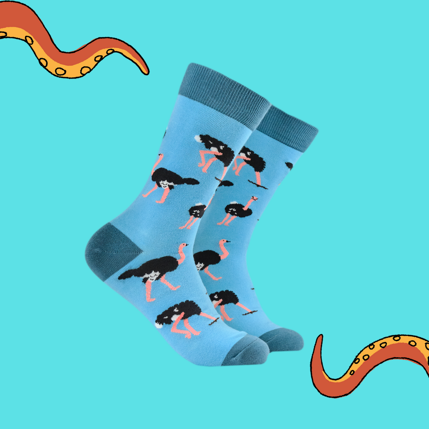 A pair of socks depicting Ostriches. Bright blue legs, teal heel, toe and cuff.  