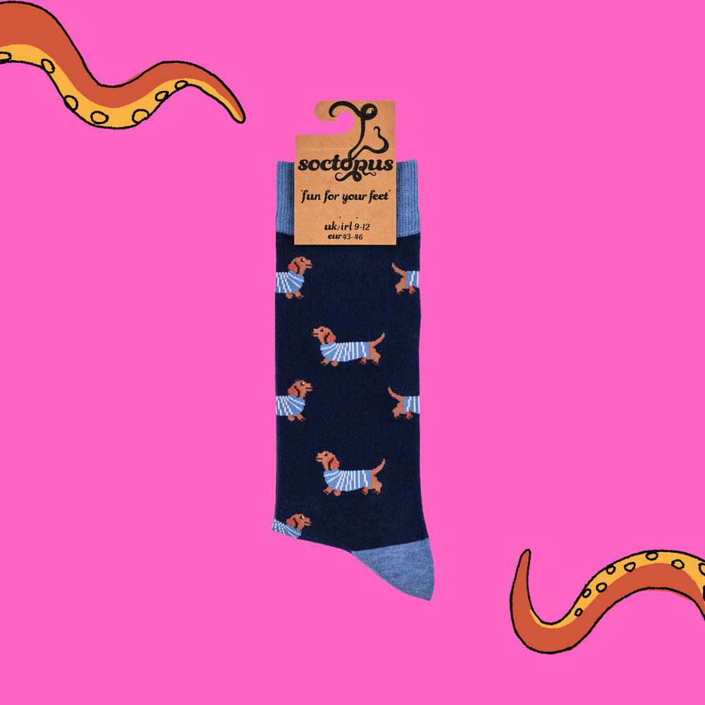 
                      
                        A pair of socks depicting sausage dogs wearing jumpers. Dark legs, light blue cuff, heel and toe. In Soctopus Packaging.
                      
                    